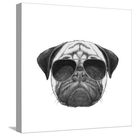 white pugs sunglasses