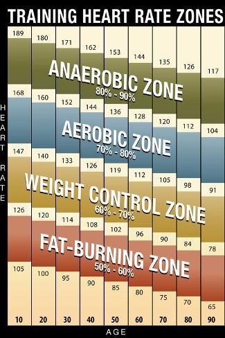 Heart Rate Chart Australia