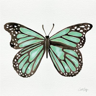 Butterfly in Mint Giclee Print by Cat Coquillette at AllPosters.com