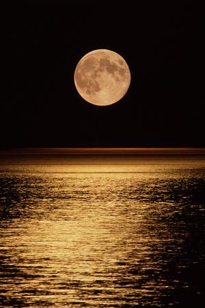 moonrise moon nunuk david photograph shape round canvas 6th uploaded which allposters