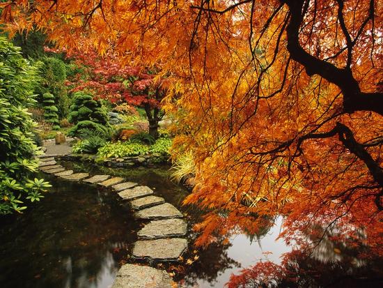 Autumn Colors In Butchart Gardens Victoria Vancouver Island