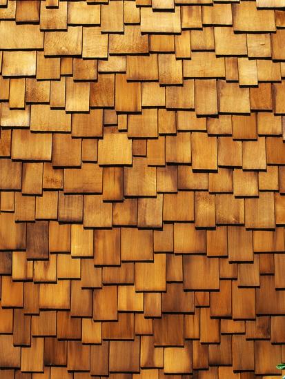 Wood Shingle Siding Photographic Print by Mark E. Gibson 