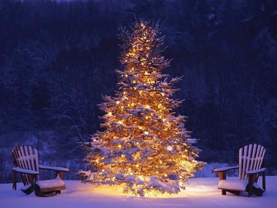 Snow Covering Adirondack Chairs By Lit Christmas Tree Photographic Snow Covering Adirondack Chairs by Lit Christmas Tree - Snow Covering Adirondack Chairs By Lit Christmas Tree Photographic