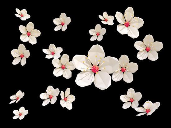Polygon Cherry Blossom Flowers With Black Background Print By