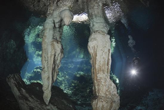 Scuba Diver In Gran Cenote Tulum Yucatan Peninsula Mexico Model Release Photographic Print Reinhard Dirscherl Allposters Com