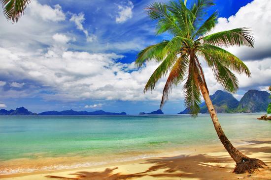 Tropical Beach Scenery Photographic Print Maugli L Allposters Tropical Beach Scenery Photographic