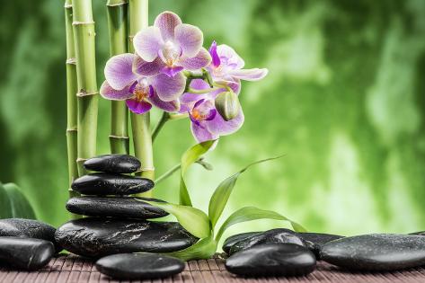 C Spa Concept Zen Basalt Stones With Art Print Home Decor Wall Art Poster