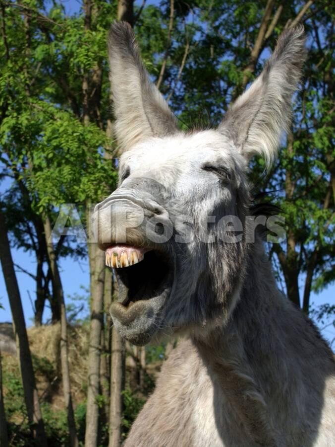 u-g-Q106FOI0.jpg?w=900&h=900&p=0