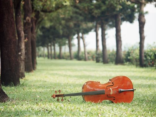 Image result for violin in grass