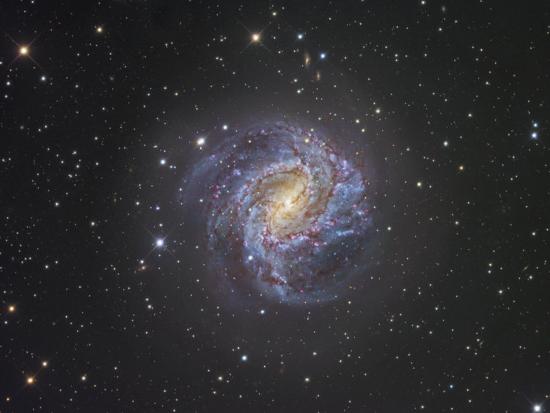 the southern pinwheel spiral