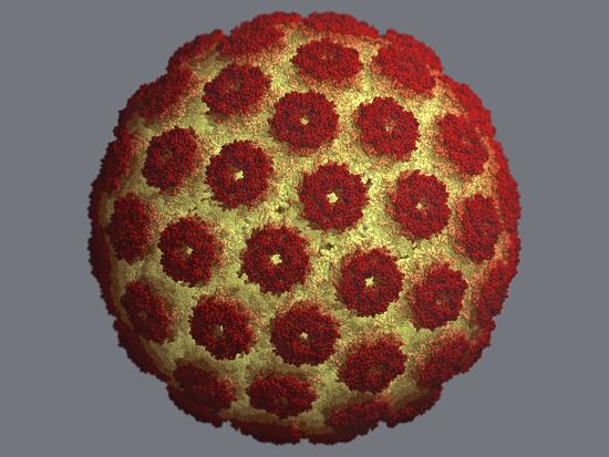 Simian Virus 40 Capsid Photographic Print by Jean-Yves Sgro at