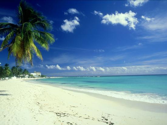Beach Scene Barbados Photographic Print Mike England Beach Scene Barbados Photographic