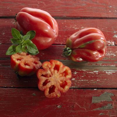 unusual tomato varieties