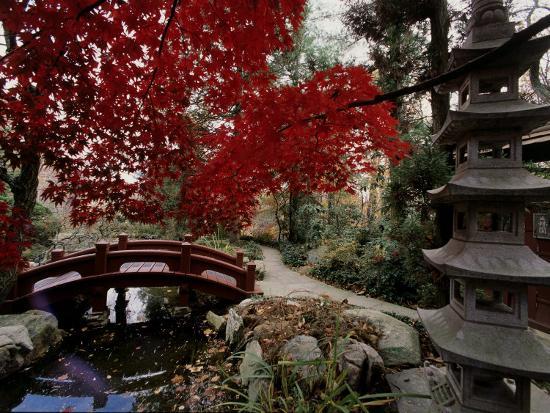 Japanese Garden Hillwood Museum And Gardens Washington D C Usa