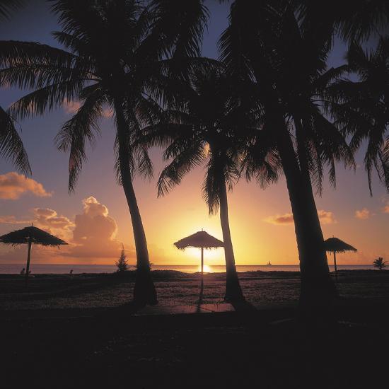 Golden Sunset With Silhouette Of Palm Trees And Beach Umbrellas Golden Sunset With Silhouette Of Palm Trees And Beach Umbrellas