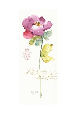 24 x 36 Rainbow Seeds Flowers X Poster Print by Lisa Audit