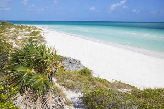 Sand Dunes At Playa Pilar Cayo Guillemo Jardines Del Rey Ciego