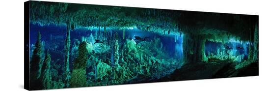 The Cascade Room Leads Divers Deeper Into Dan S Cave On Abaco Island