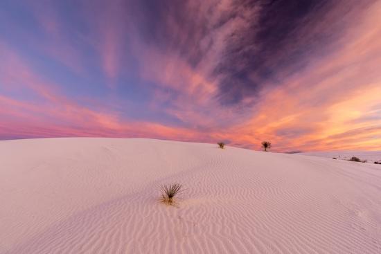 New Mexico White Sands National Monument Sunrise On Desert Sand Photographic Print Jaynes Gallery Allposters Com