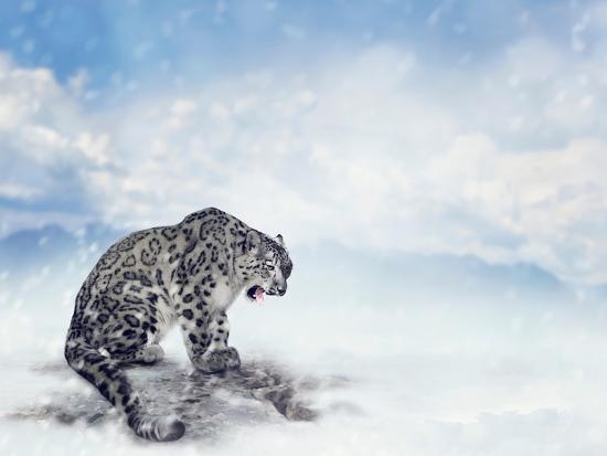 Snow Leopard Sitting On The Rock Photographic Print Svetlana Foote Allposters Com Snow Leopard Sitting On The Rock Photographic Print Svetlana Foote Allposters Com