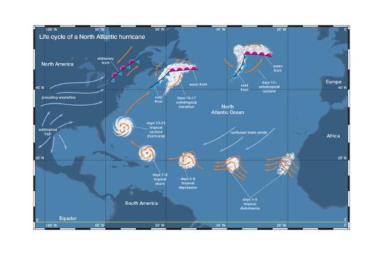 'Life Cycle of a North Atlantic Hurricane. Tropical