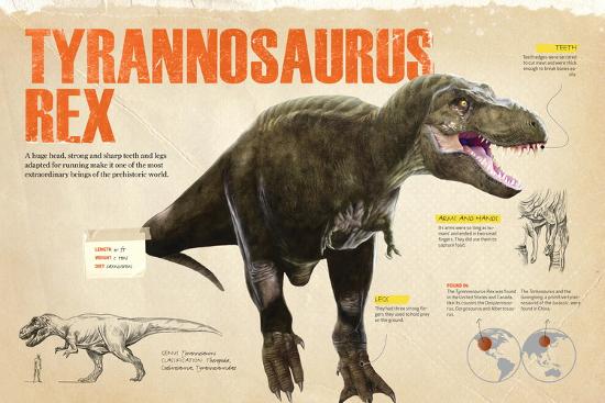 all types of tyrannosaurus