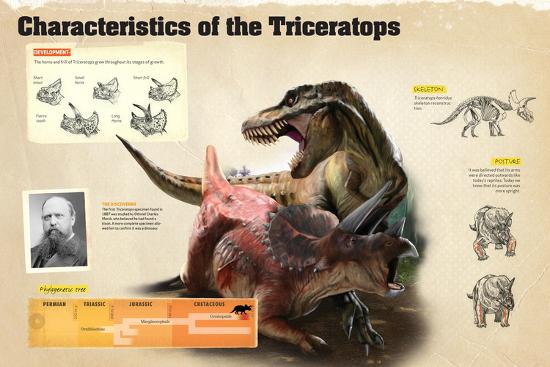 all types of triceratops