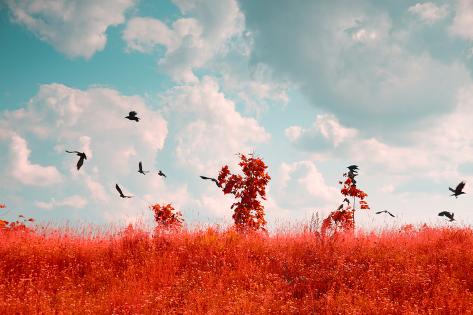 Photo Of Summer Landscape Shot In The Ir Spectrum