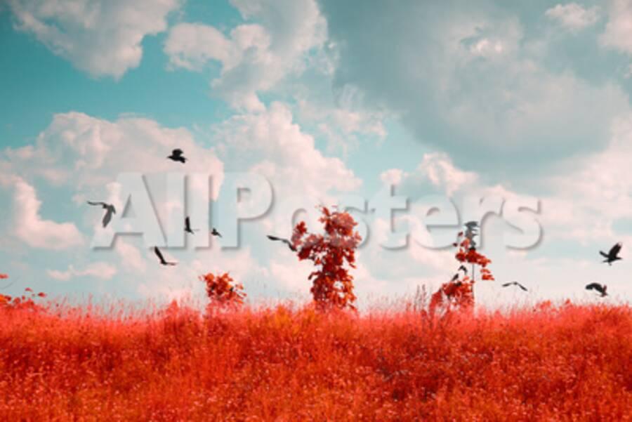 Photo Of Summer Landscape Shot In The Ir Spectrum