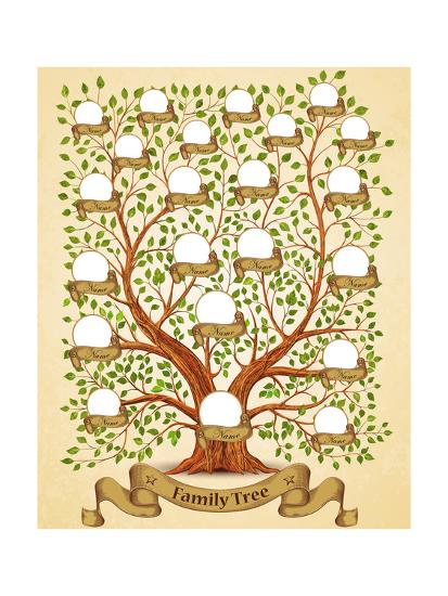 family tree template vintage vector illustration posters by yayasya
