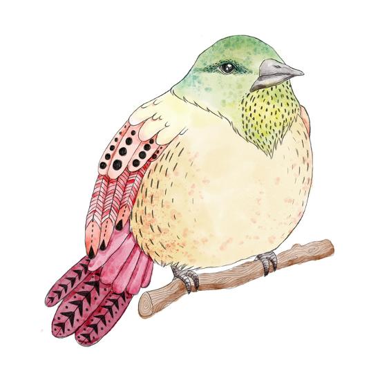 watercolor birds illustration hand