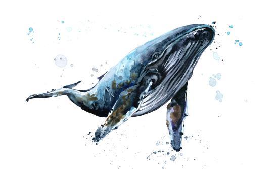 humpback whale watercolor illustration underwater fauna prints by