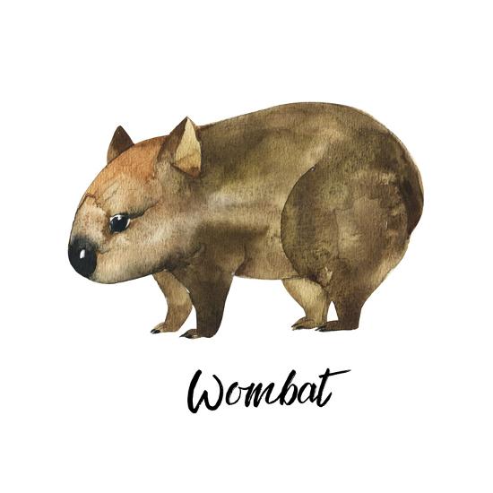 australian animals watercolor illustration