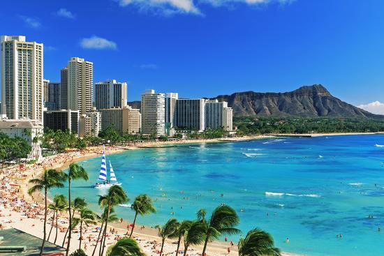 Palm Trees On The Beach Diamond Head Waikiki Oahu Honolulu Palm Trees On The Beach Diamond Head Waikiki Oahu Honolulu Hawaii