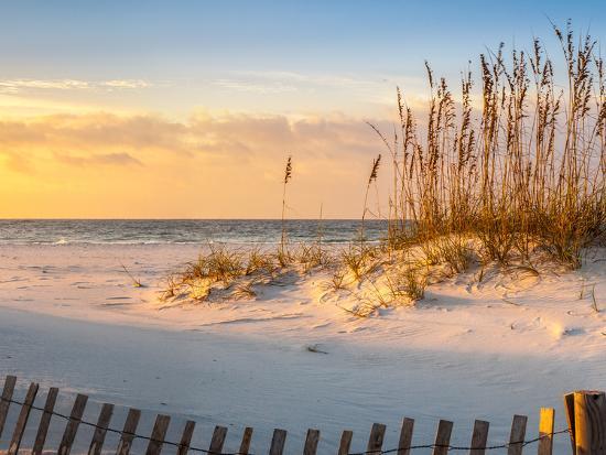 Sunrise At Pensacola Beach With Sea Oats And Dune Fence Panoramic Sunrise At Pensacola Beach With Sea Oats And Dune Fence Panoramic