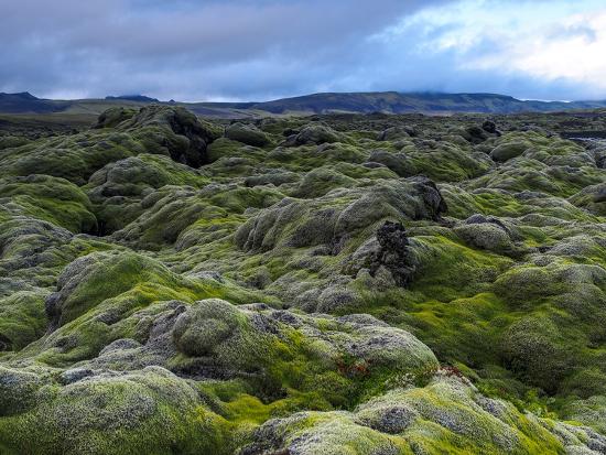 lava fields in the