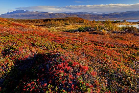 europe sweden abisko national