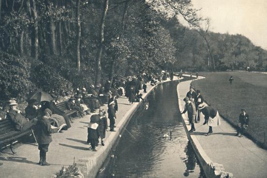 ''The Brook, Lower Gardens', c1910' Photographic Print - Unknown