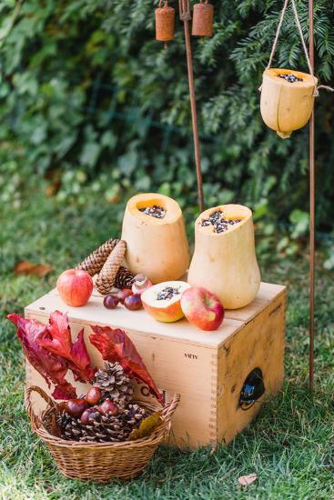 Garden Diy Self Made Bird Feeder Pumpkins Apples Box