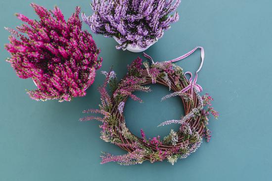 Diy Autumnal Decoration Willow Wreath Heather Photographic