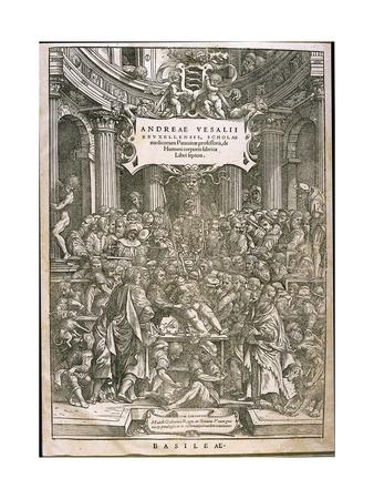 Andreas vesalius contribution to medicine picture