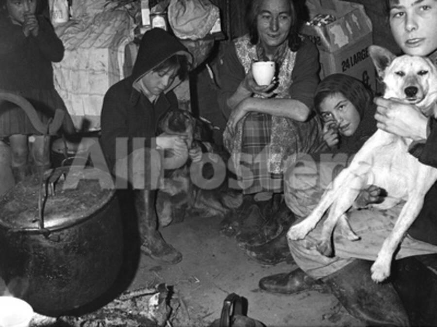 Roadside Gipsy Family Inside A Bender Wigwam Construction Newdigate Surrey 1960s