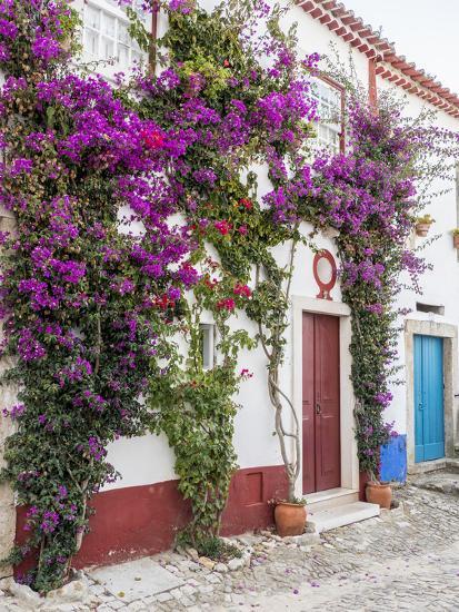 Portugal Obidos Beautiful Bougainvillea Blooming In The Town Of Obidos Portugal Photographic Print Julie Eggers Allposters Com
