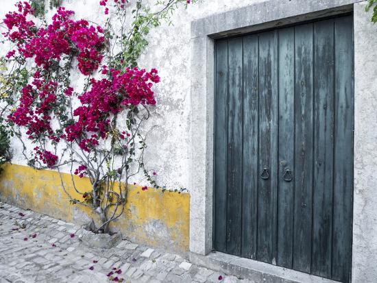 Portugal Obidos Beautiful Bougainvillea Blooming In The Town Of Obidos Portugal Photographic Print Julie Eggers Allposters Com
