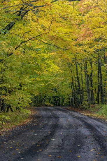 Covered Road near Houghton in the Upper Peninsula of Michigan, USA ...