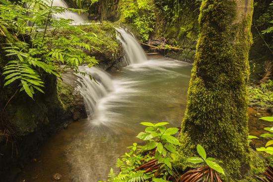 USA, Hawaii, Hawaii Tropical Botanical Garden. Waterfall scenic