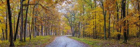Stephen A Forbes State Park : 'Aerial view of road in forest, Stephen A. Forbes State ... - Born december 18, 1946) is an american film director, producer, and screenwriter.he began his career in the new hollywood era, and is one of the most commercially successful directors in history.