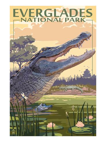 Everglades National Park Florida United States Travel Advertisement Art Poster