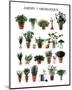 Aromatic Garden-null-Mounted Art Print