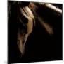 Spirit Horse-Tony Stromberg-Mounted Art Print